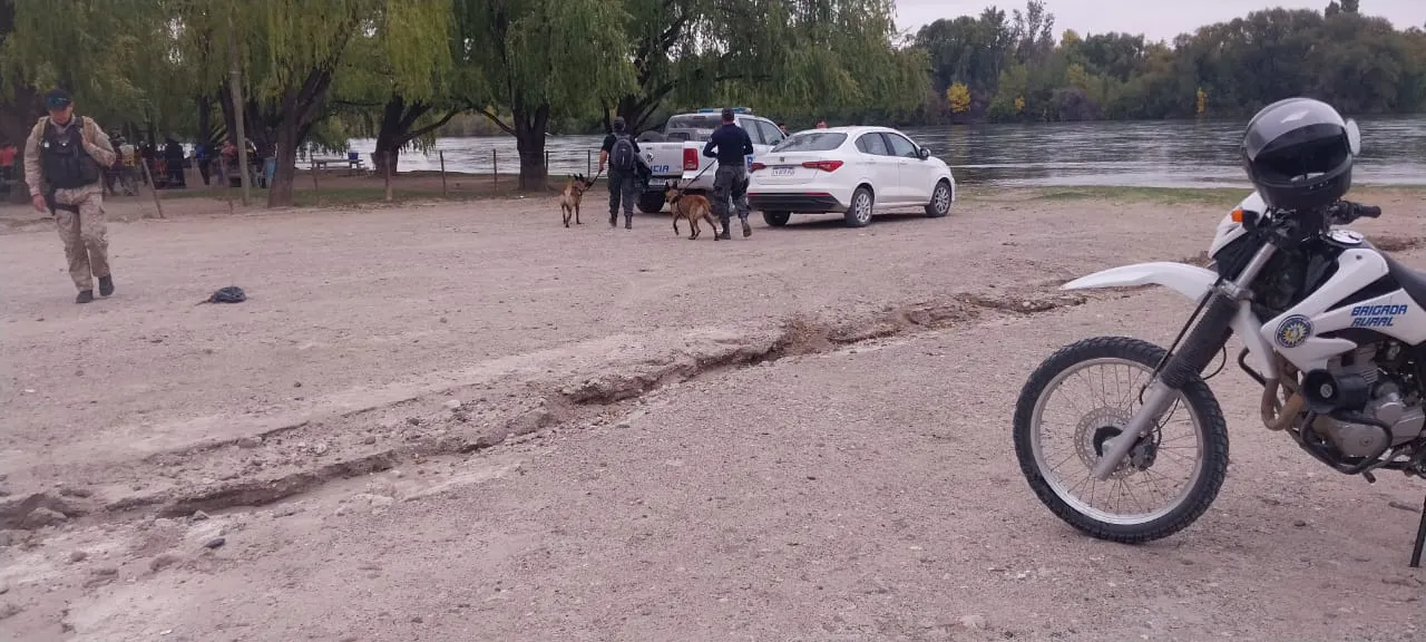 Paillao búsqueda
