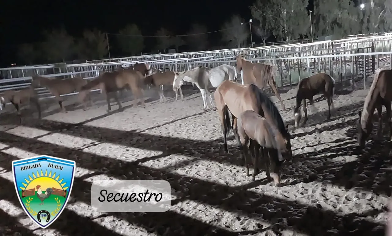 policiales secuestro caballos
