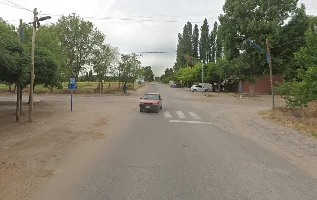 Viterbori Mosconi
