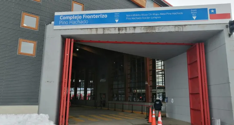Pino Hachado