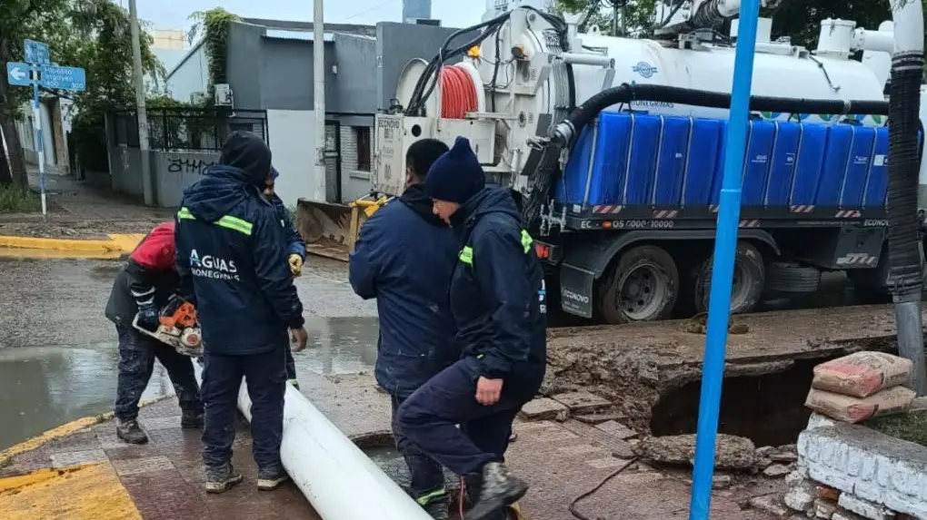 recambio cloacal