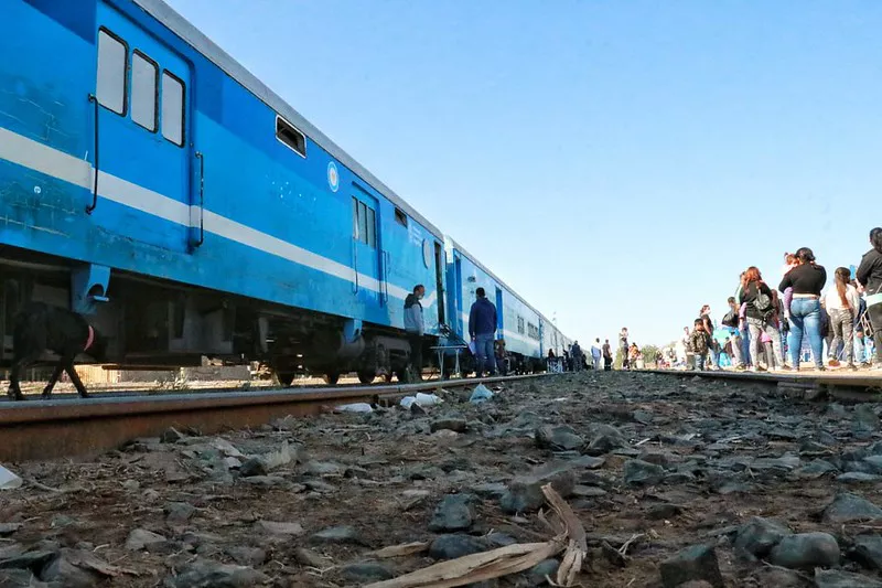 tren desarrollo social formación