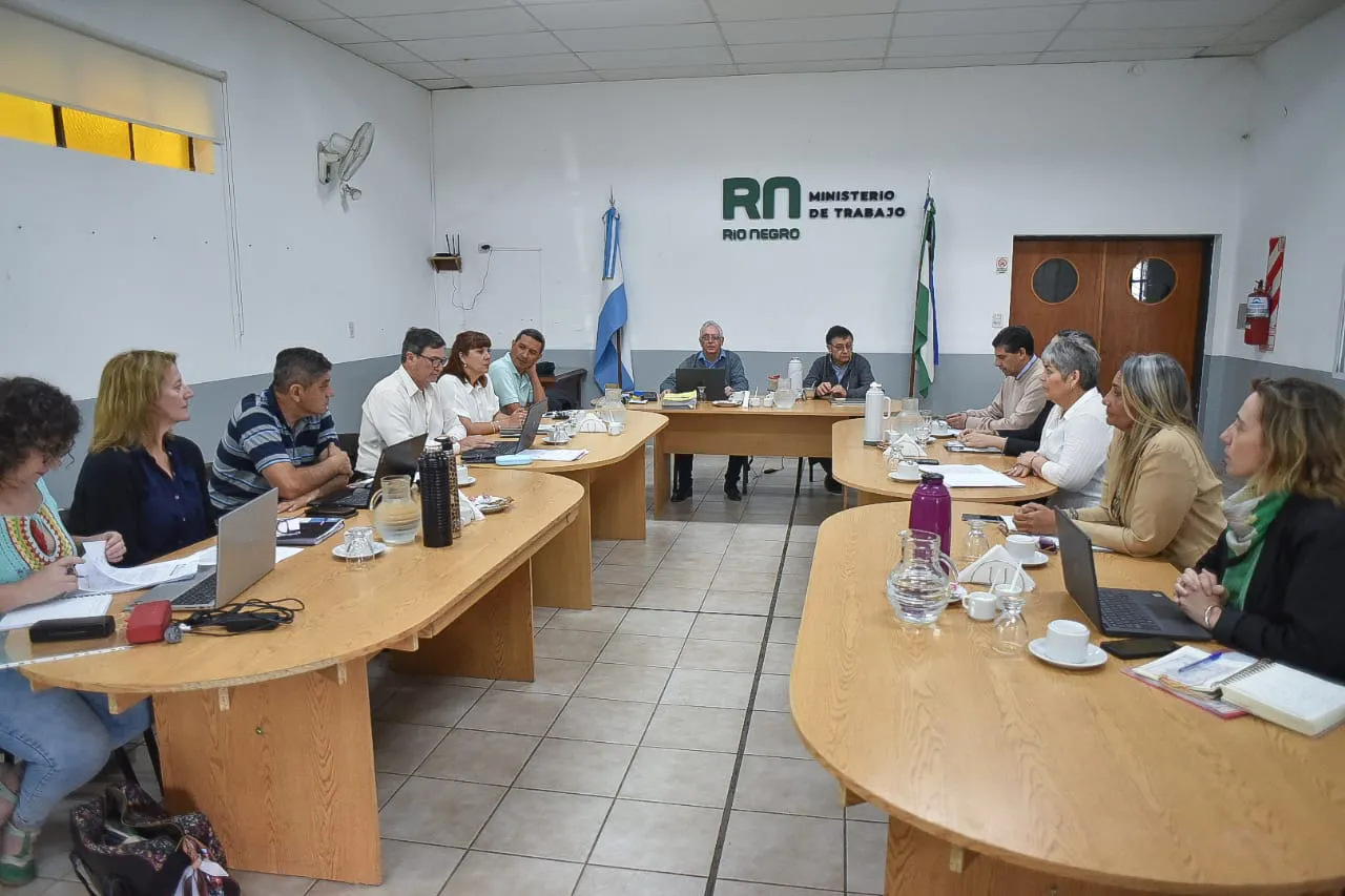 paritaria docente