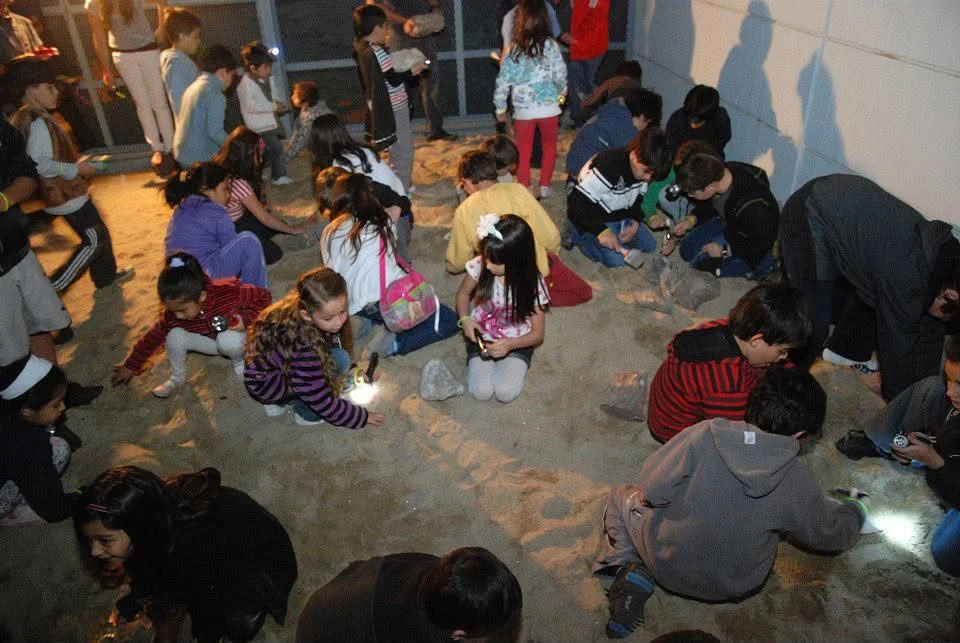 noche en el museo (1)
