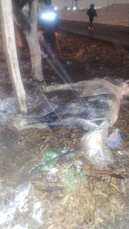 edersa accidente eléctrico (5)