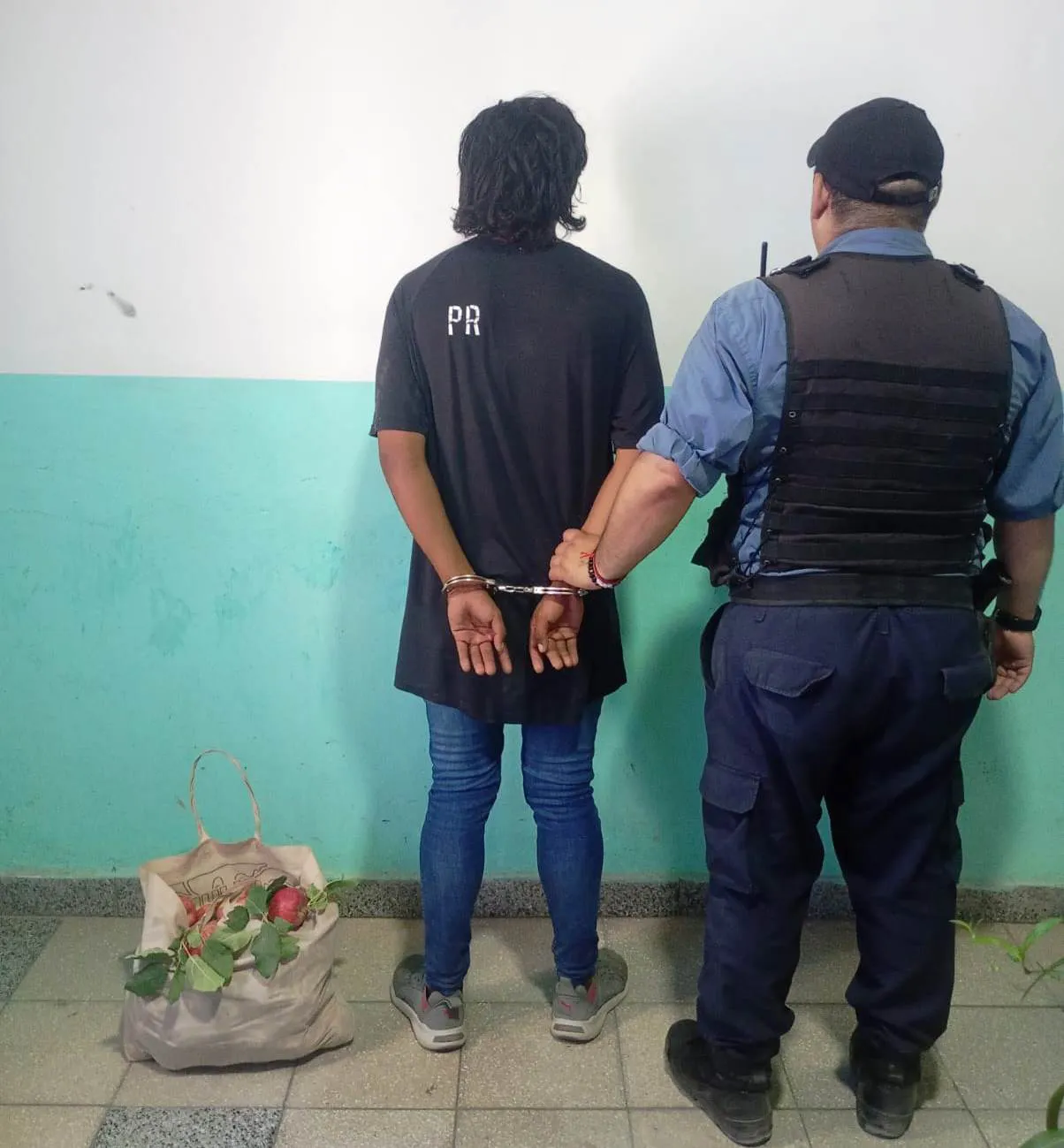 robo fruta stefenelli