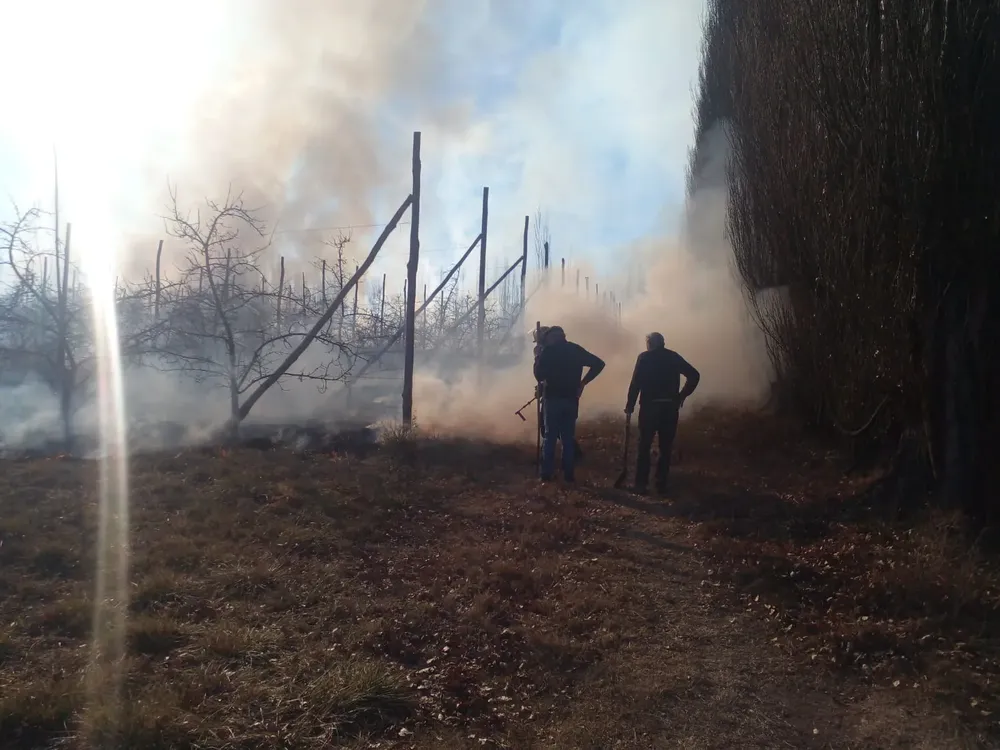 incendio en la chacra (6)