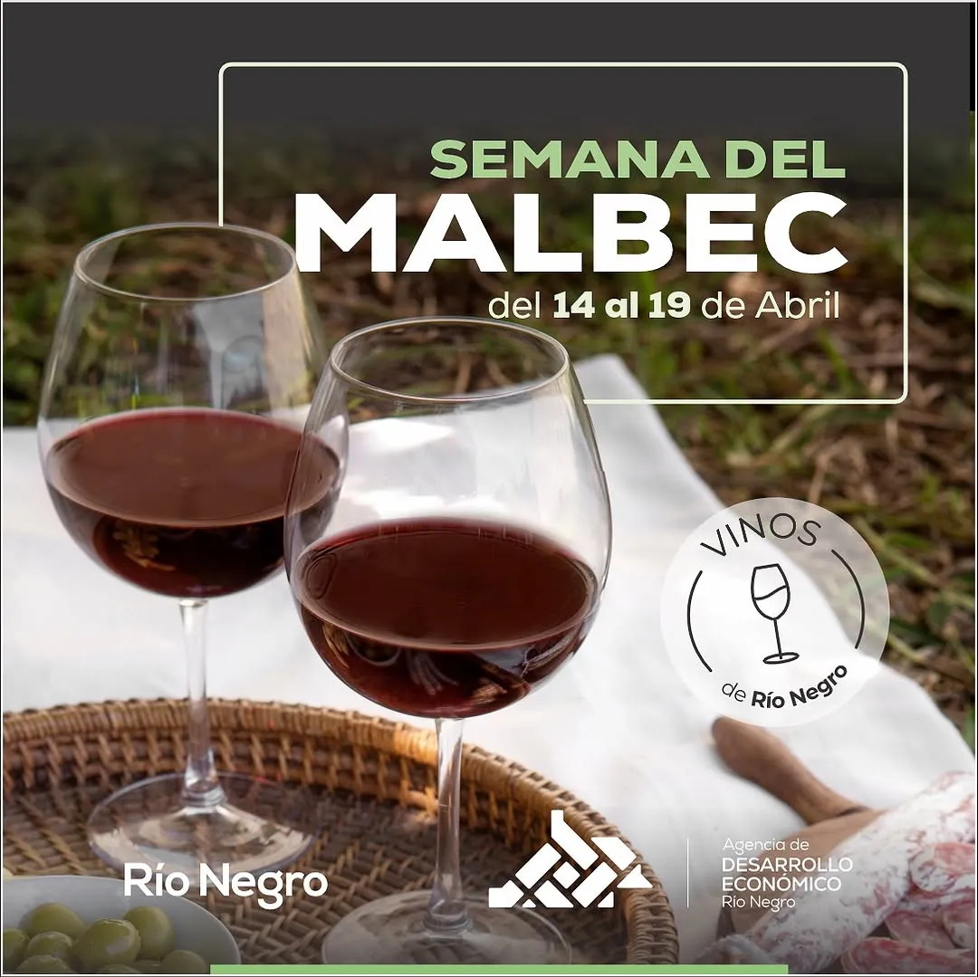 Malbec rionegrino