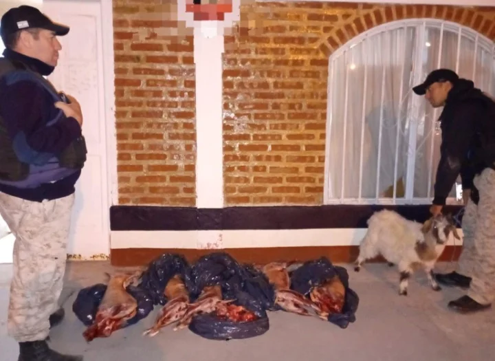 animales faenados y en pie