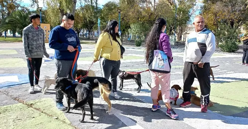 DIA DEL ANIMAL4
