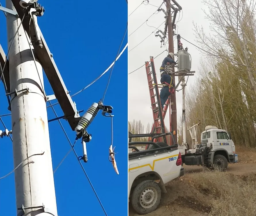 EDERSA ROBO ELÉCTRICO3