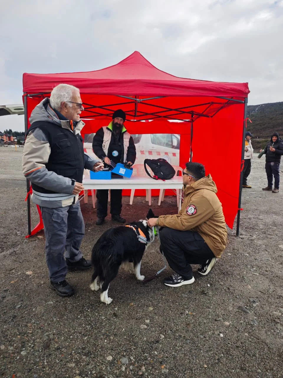 bombero k9