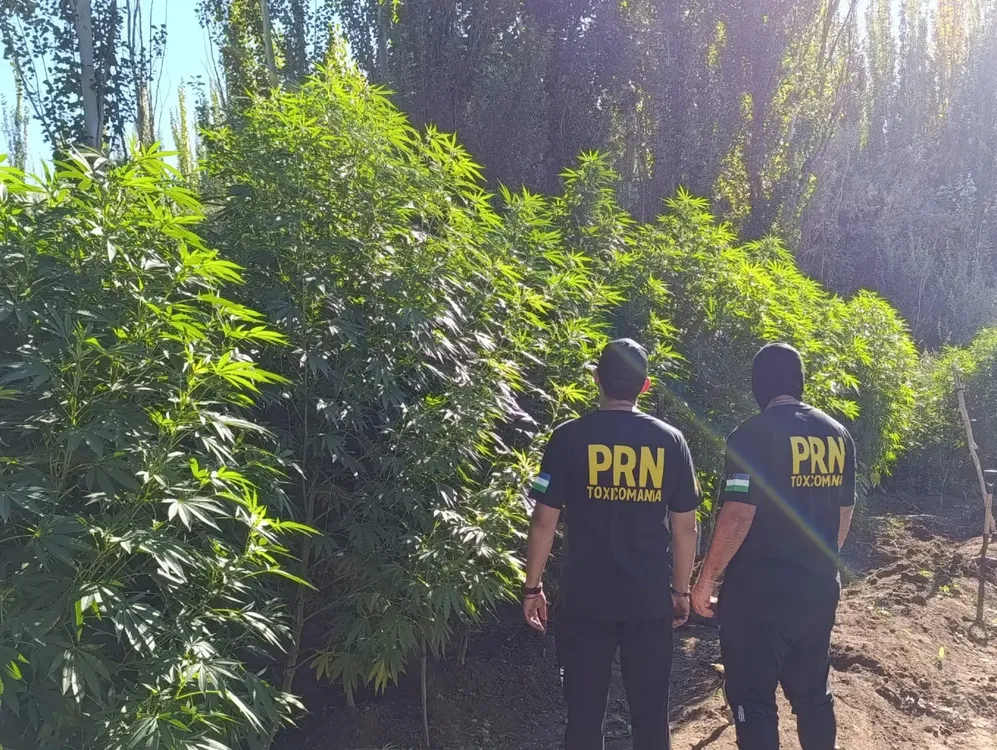 operativos kioskoc narco2