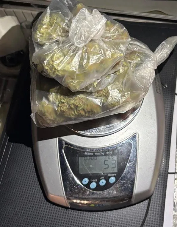 operativo antidroga (1)