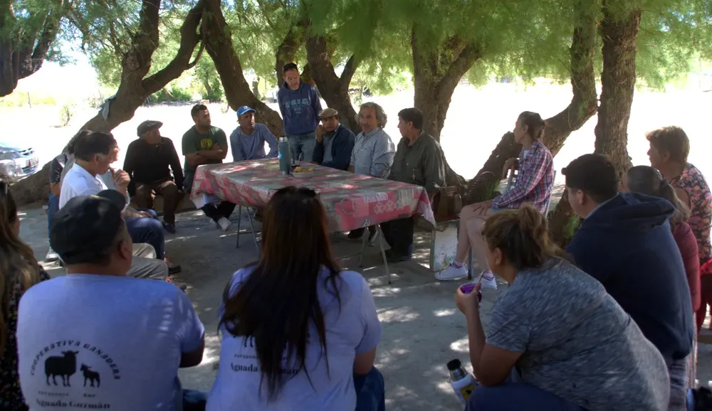 productores región sur