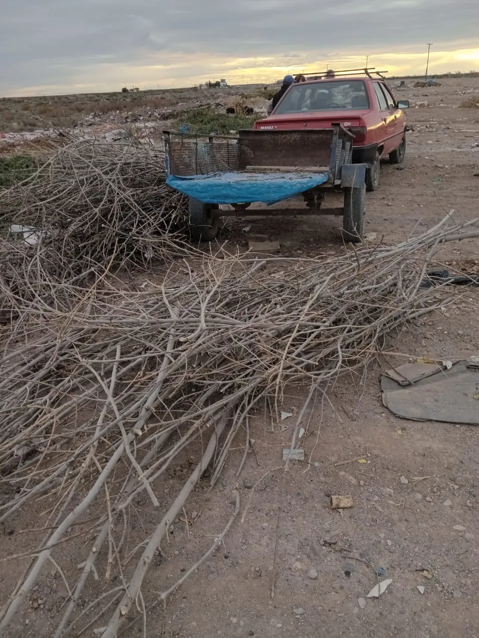 IMG-20240611-WA0022