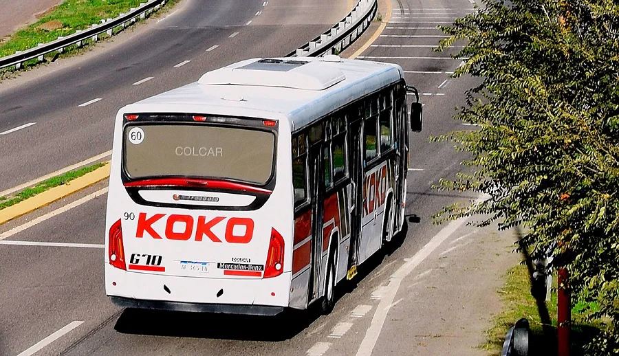 KOKO