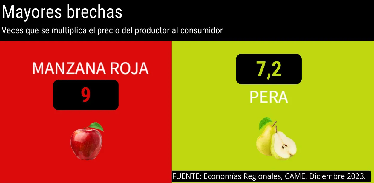 manzanas y peras1