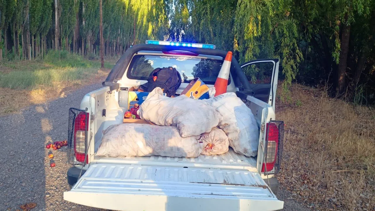 detenidos hurto frutas