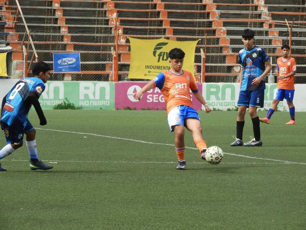 LDC 2009 Depo vs Chichi