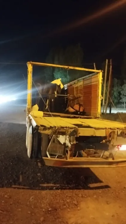 caballos en camión