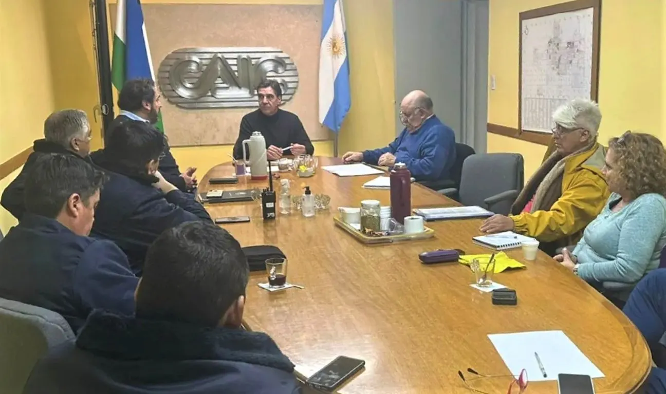 consejo de seguridad caic