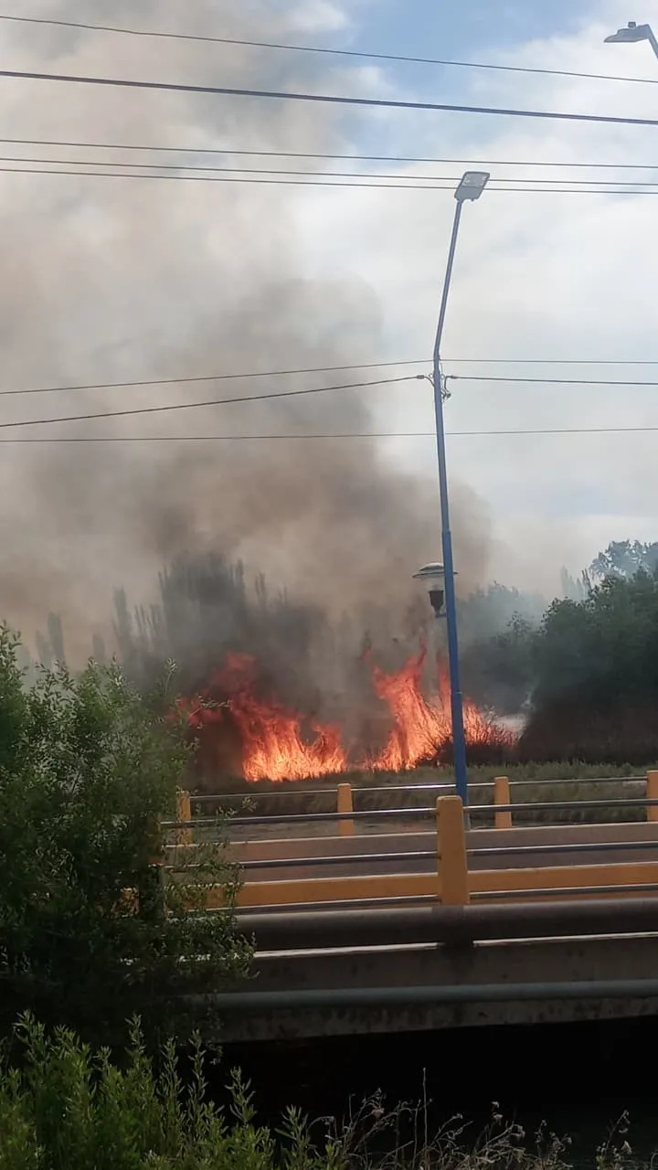 incendio jjgomez