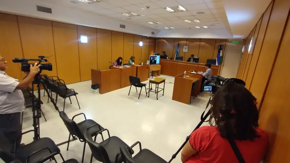 caso gatti