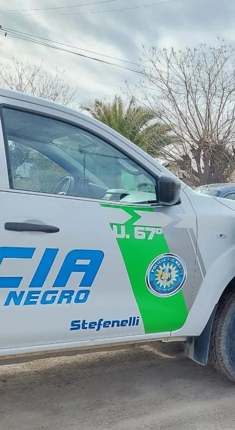 stefenelli-67