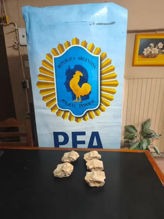 fósiles dino PFA