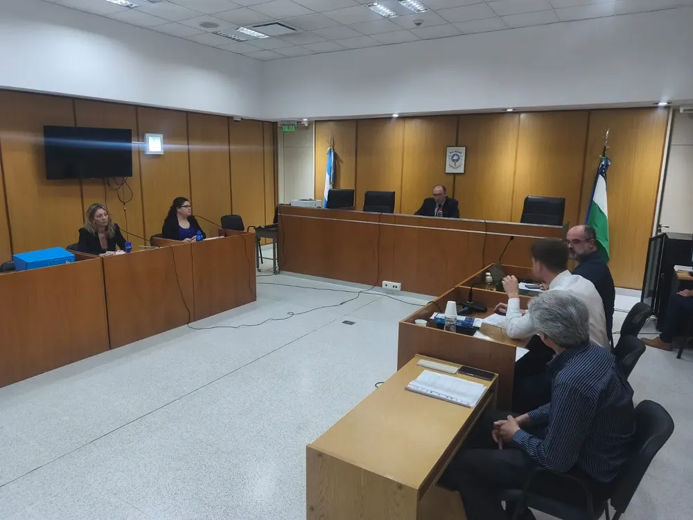 asociación ilícita detenidos