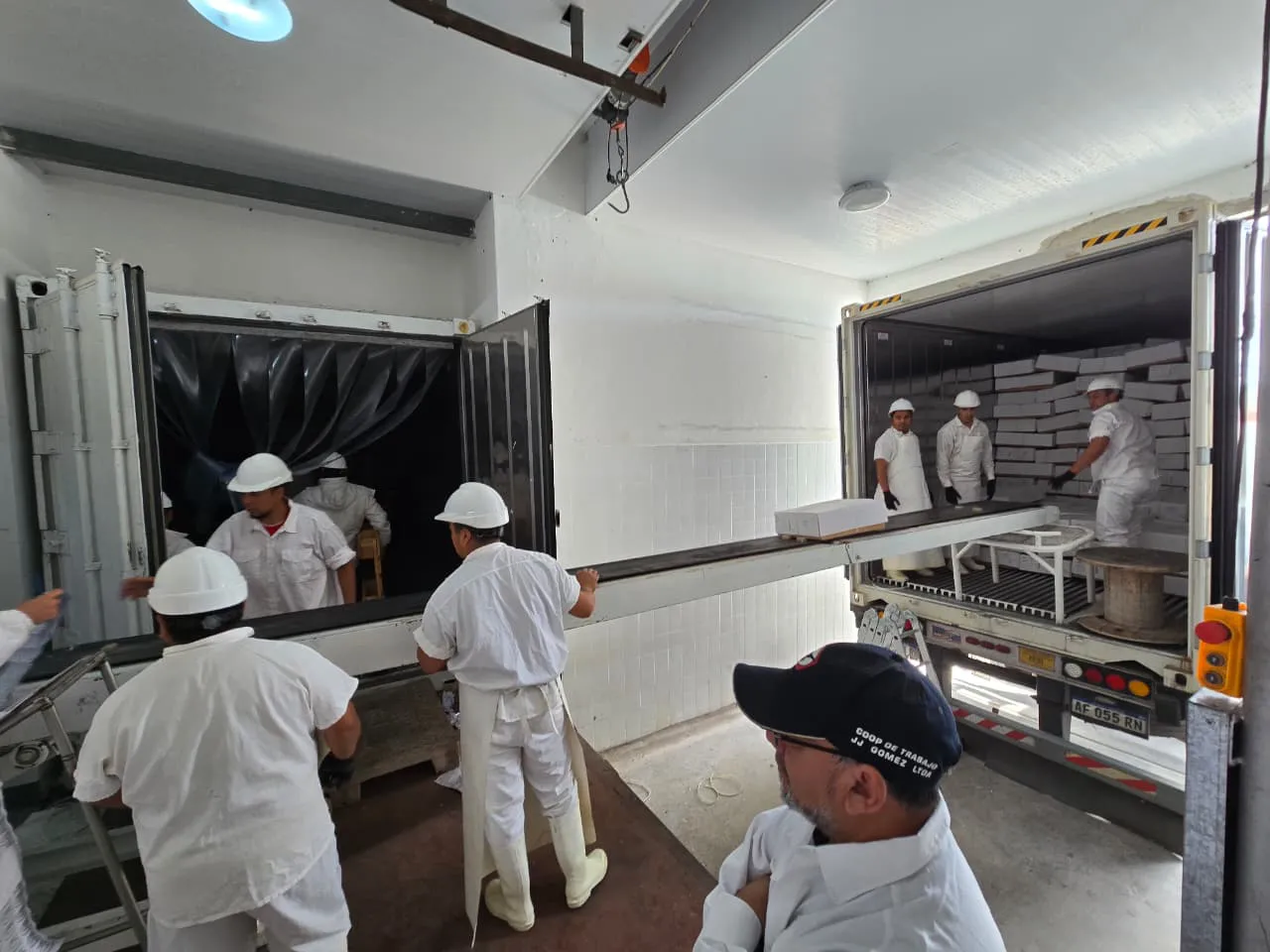 exportación ovina3