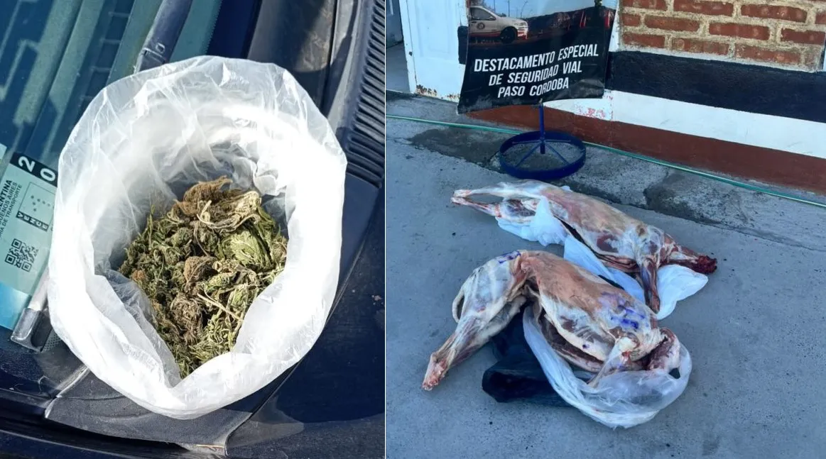 operativos droga ovinos