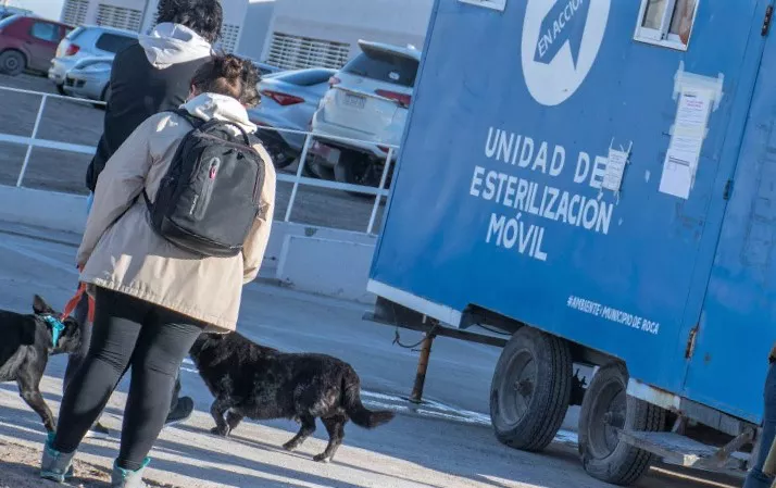 QUIROFANO Movil