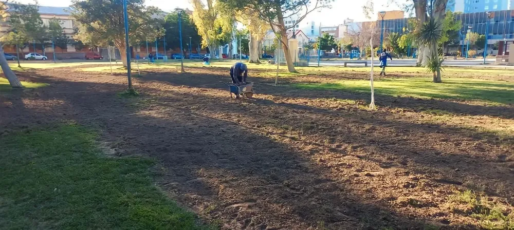 PLAZA mejoras3