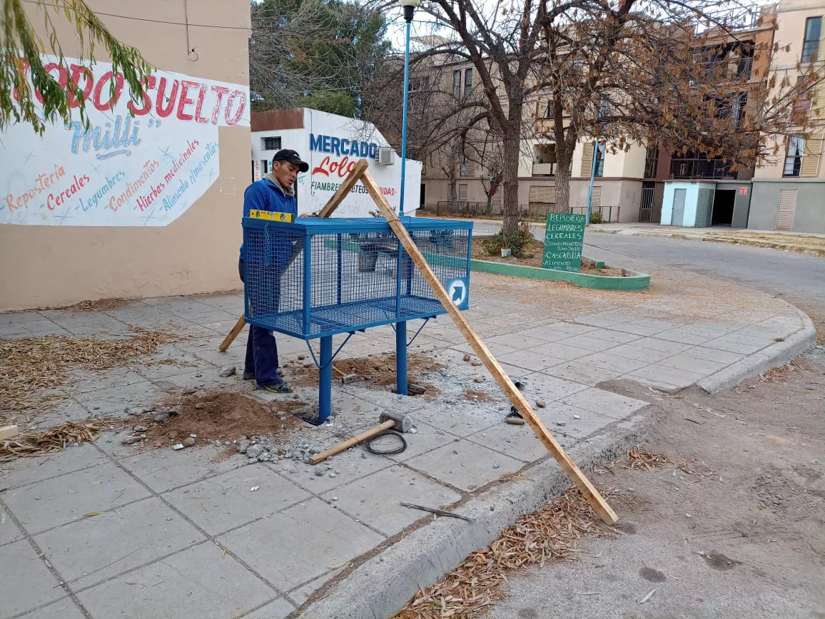 CESTOS 500 VIVIENDAS