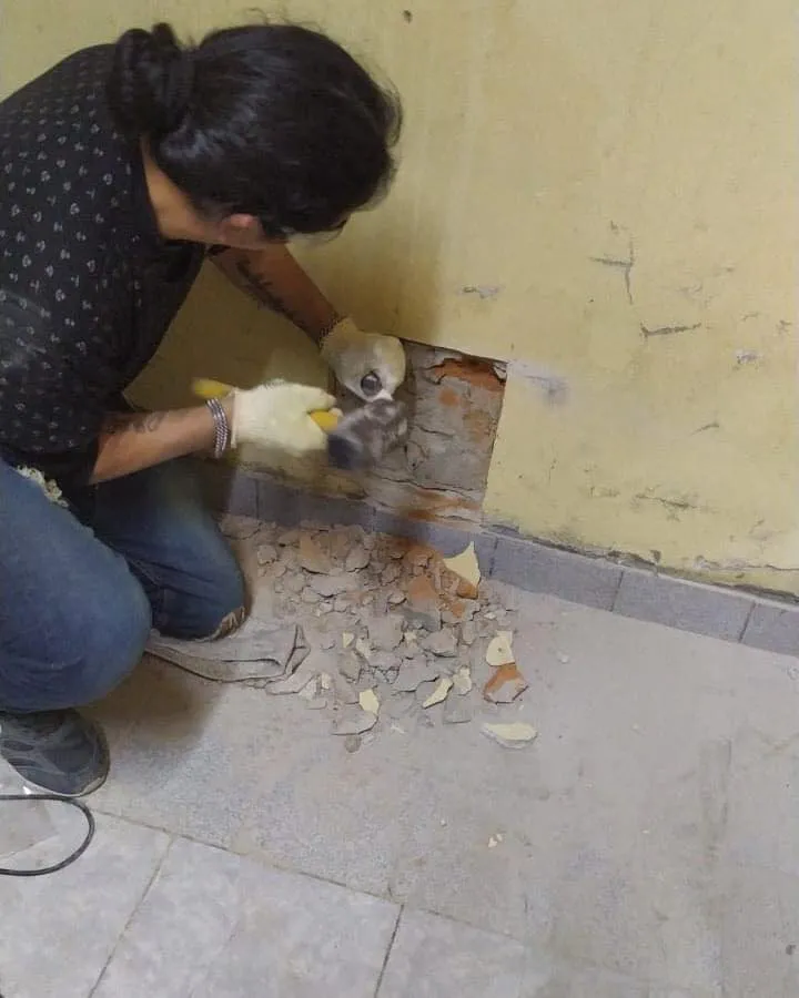 obras escuelas Roca4