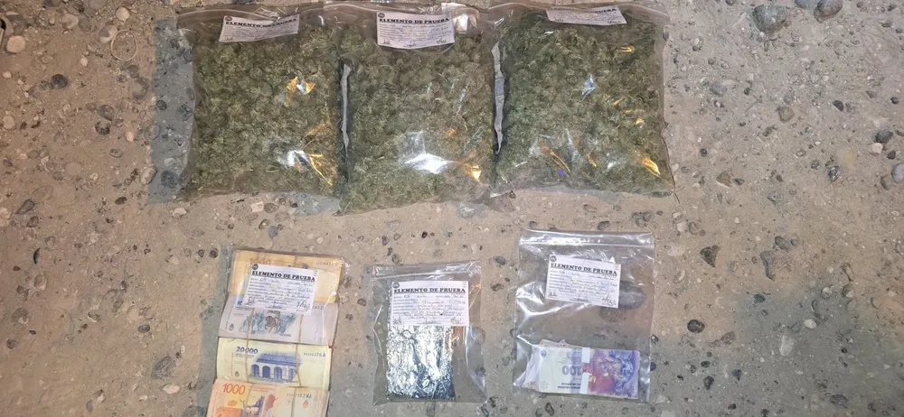 secuestro y elementos de prueba