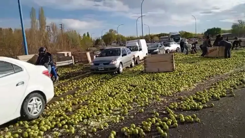manzanas en la rotonda (2)