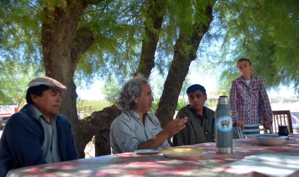 productores región sur3