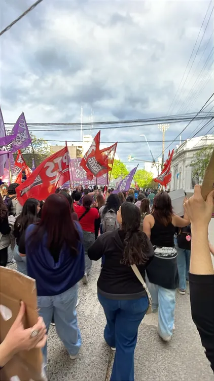 marcha universitaria (2)