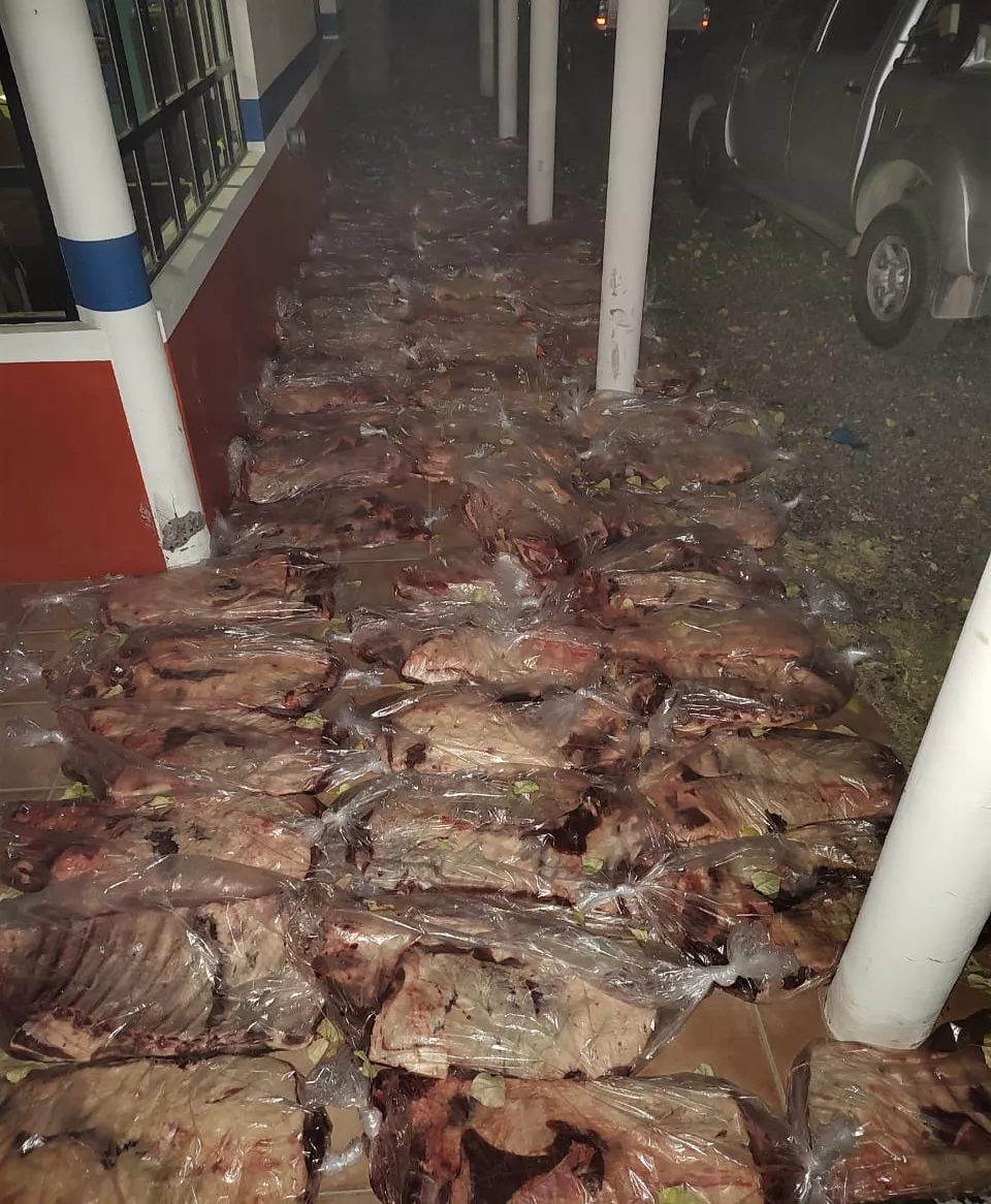 costillares decomisados