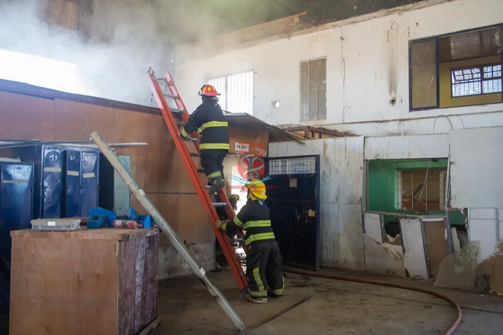 incendiio Alsina3