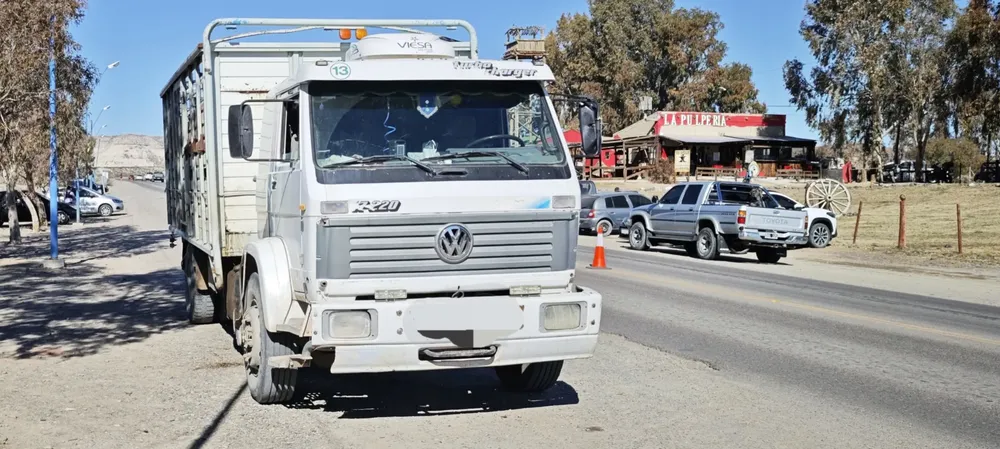 camion con animales detenido