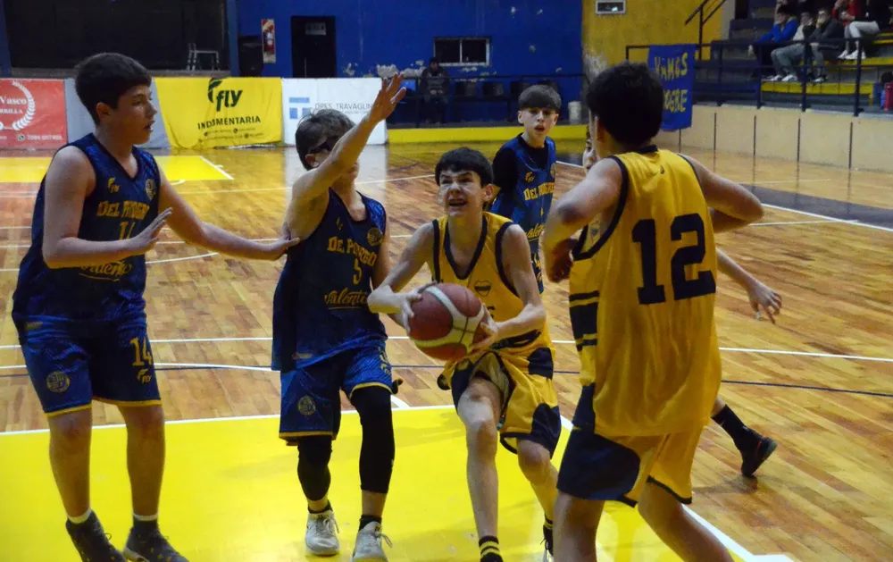 basquet