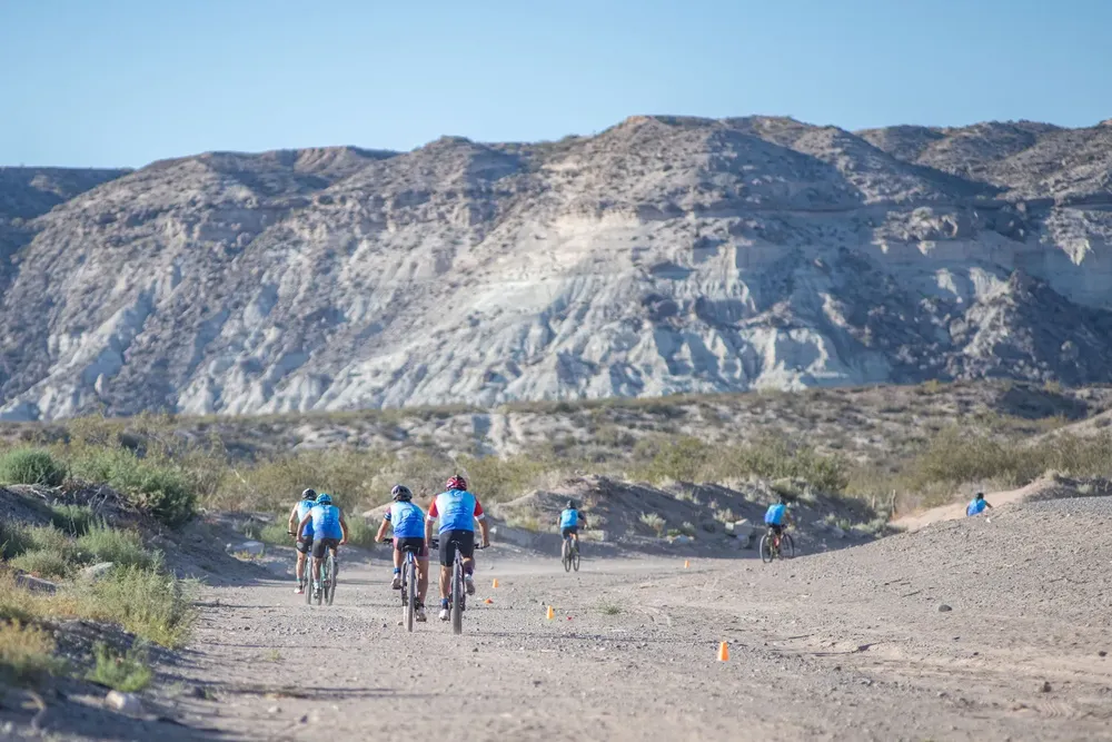 TRIA CROSS FNM26 (5)