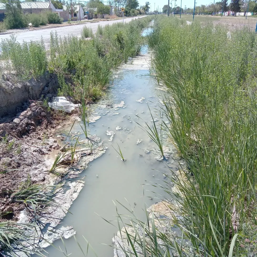 PLUVIAL JOSÉ INGENIEROS DESAGUE