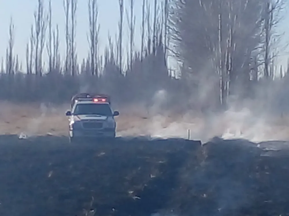 incendio en la chacra (3)