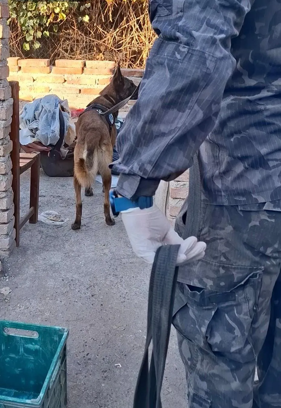 Internet_20250508_164745