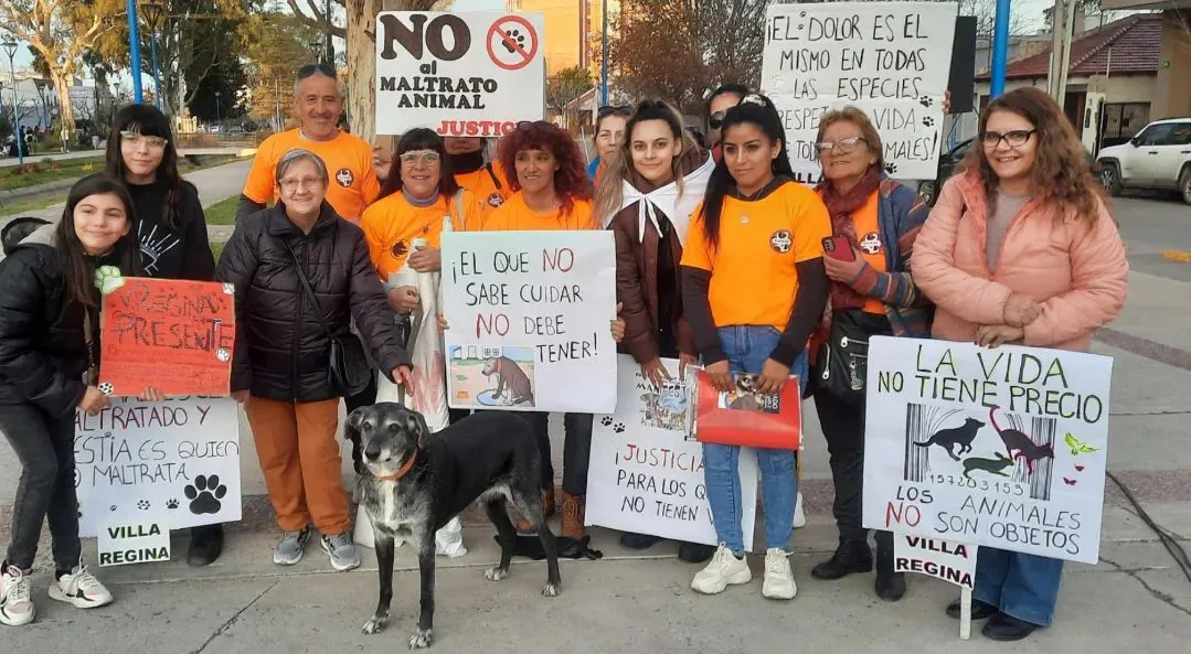 marcha maltrato animal1